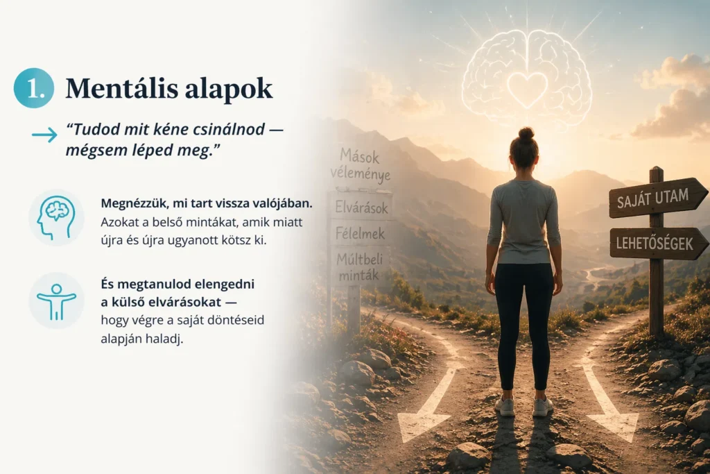 opt multi aebad2d59f6a4ec8bfca96d5d70b98dd webp